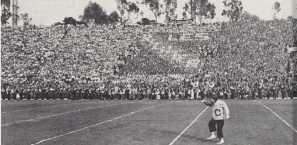 Archival scan: Oski standing on the football field before a full stadium. Photo credit: Photographer/artist uncredited in supplied scan.
