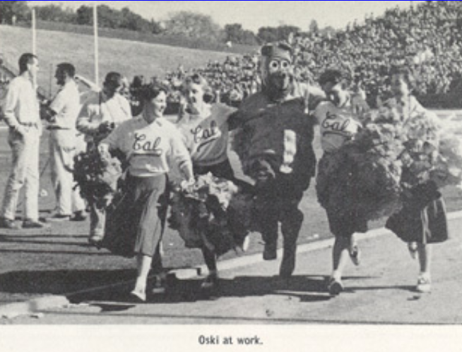 Archival scan: Oski performing beside Cal cheerleaders on the sideline. Photo credit: Photographer/artist uncredited in supplied scan.