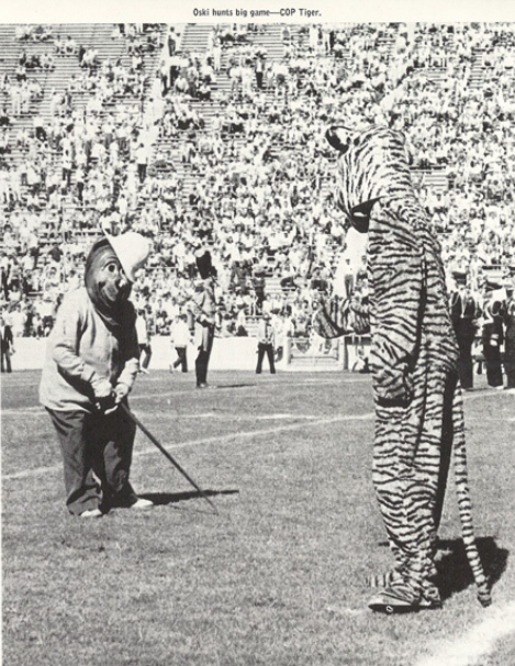 Archival scan: Oski facing a tall tiger mascot on the field. Photo credit: Photographer/artist uncredited in supplied scan.