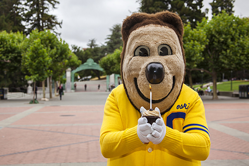 Oski holds a cupcake with a lit candle on the Berkeley campus. Photo credit: Brittany Hosea-Small / UC Berkeley.