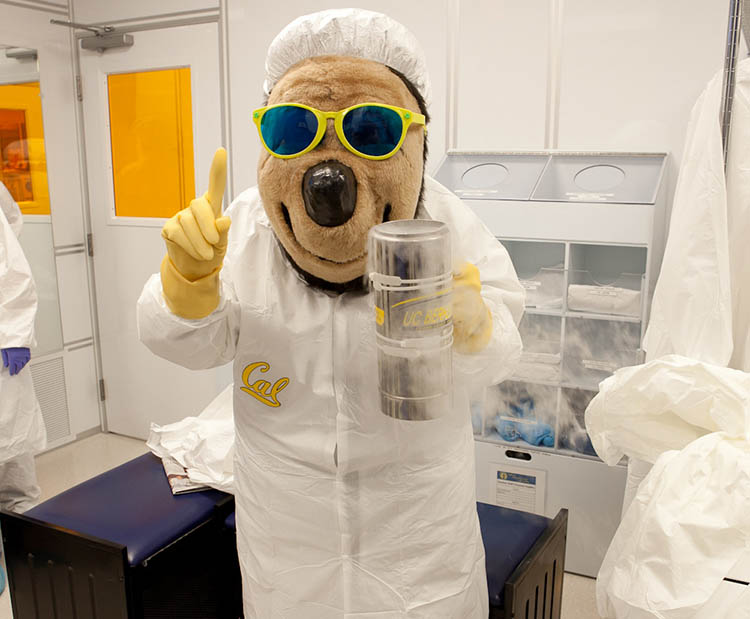Oski wearing cleanroom clothing and yellow sunglasses in the Berkeley Nanofabrication Lab. Photo credit: Preston Davis / UC Berkeley.