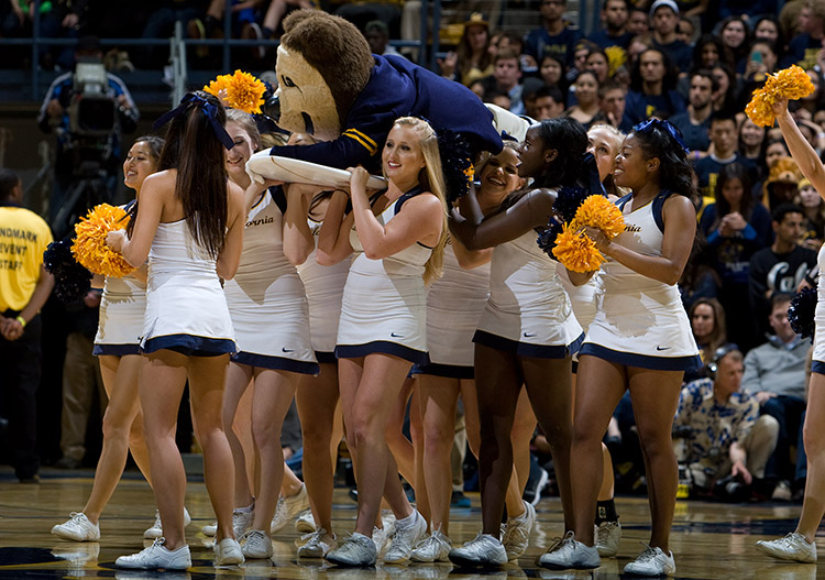 Cal cheerleaders carrying Oski on a surfboard at Haas Pavilion. Photo credit: Courtesy of Oski Committee.