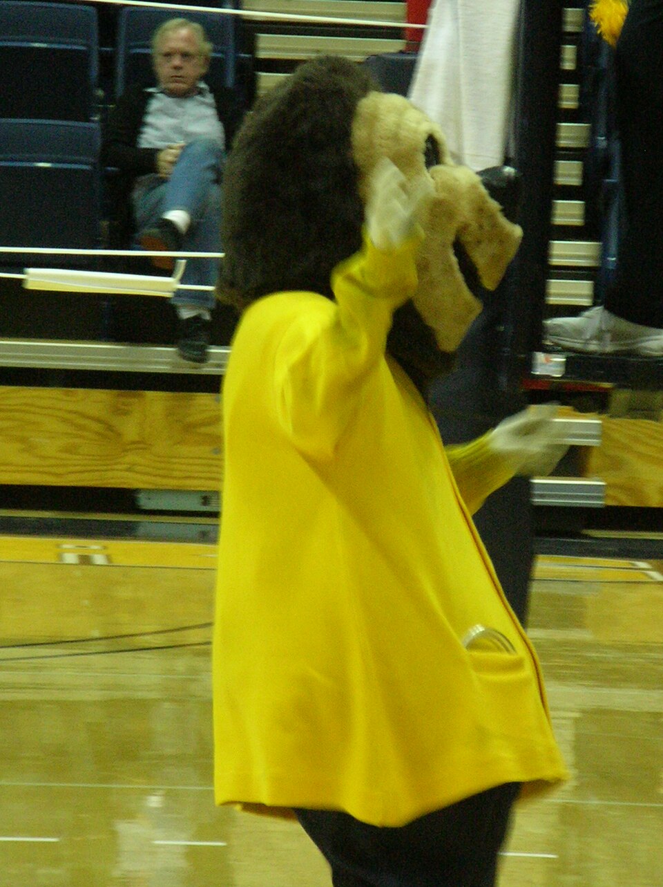 Oski holds a white-gloved hand beside his head on the volleyball court. Photo credit: © BrokenSphere / Wikimedia Commons.